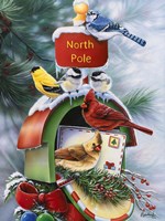 North Pole Fine Art Print