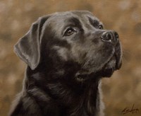 Sniffing Fine Art Print