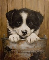 Peek-a-Boo Fine Art Print