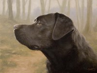 Profile Fine Art Print