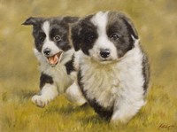 Racing Fine Art Print