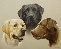 Trio Fine Art Print