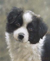 Curious Fine Art Print