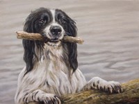 Got It! Fine Art Print