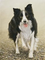 Attention Seeker Fine Art Print