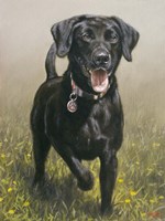 Ready Fine Art Print