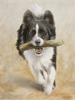 Catch Me if You Can Fine Art Print