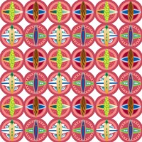 Surfboard Medallions Fine Art Print