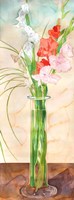 Gladiolas Fine Art Print
