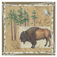 Buffalo Fine Art Print
