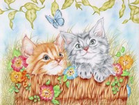 Watching Kittens Fine Art Print
