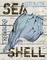 Blue Seashell Fine Art Print
