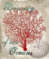 Bounty of our Oceans Fine Art Print