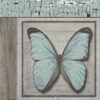 Butterfly Blue Fine Art Print