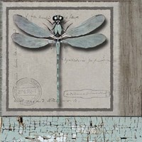 Dragonfly Blue Fine Art Print