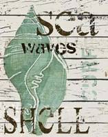 Green Seashell Fine Art Print