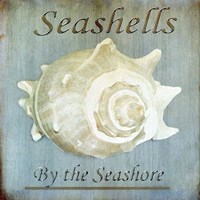 Seashells by the Seashore I Fine Art Print