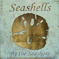 Seashells II Fine Art Print