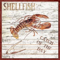 Shellfish II Fine Art Print