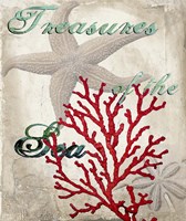 Treasures of the Sea Fine Art Print