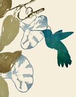 Hummingbird and Morning Glories Fine Art Print