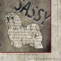 Shih Tzu II Fine Art Print