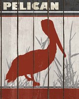 Pelican Fine Art Print