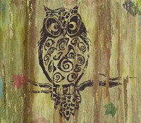 Owl Fine Art Print