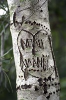 Old Fashioned Love Fine Art Print