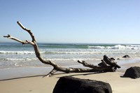 Australia 2 Fine Art Print