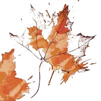 Leaf 1 Fine Art Print