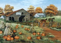 Cooksville Barn Fine Art Print