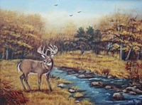 Monarch Fine Art Print