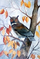 Owl and Autumn Leaves Fine Art Print