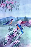 Bluebirds and Apple Blossoms Fine Art Print