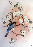 Bluebirds and Dogwood Fine Art Print