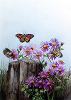 Butterflies Fine Art Print