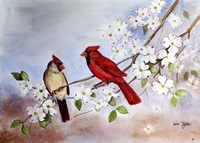Cardinals and Dogwood Fine Art Print