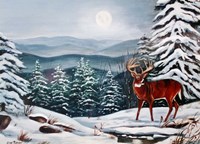 Monarch in Winter Fine Art Print