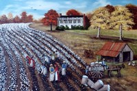 The Lincoln Cotton Field Fine Art Print