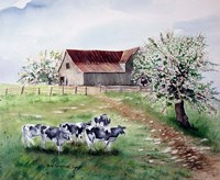 Cows and a Barn Fine Art Print