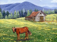 The Tobacco Barn Fine Art Print