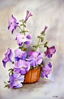 Petunia Framed Print