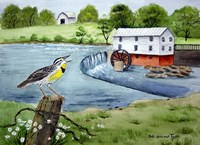 Meadowlark and Murray's Mill Fine Art Print