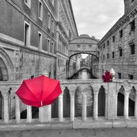 Red Umbrella 1 Fine Art Print