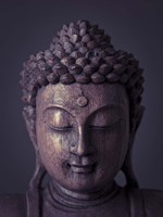 Buddha 5 Fine Art Print