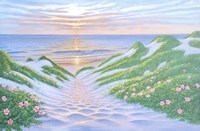 Dune Descent III Fine Art Print