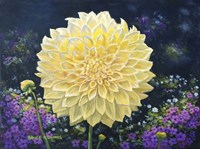 Flower Power I Fine Art Print