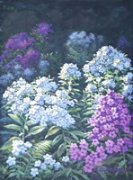 Garden Bloom Fine Art Print