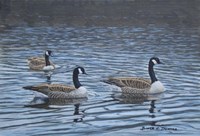 Spring Break Fine Art Print